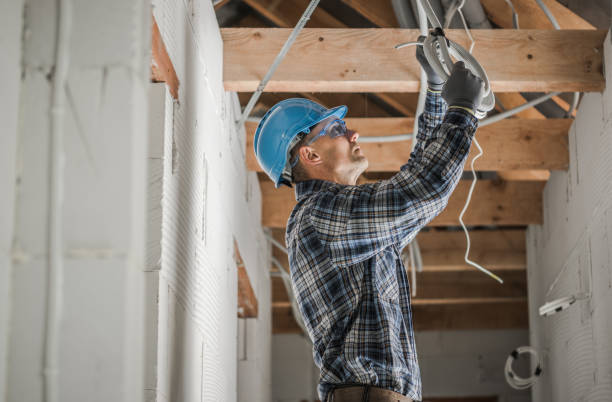 Best Electric Panel Repair  in Houston, MO